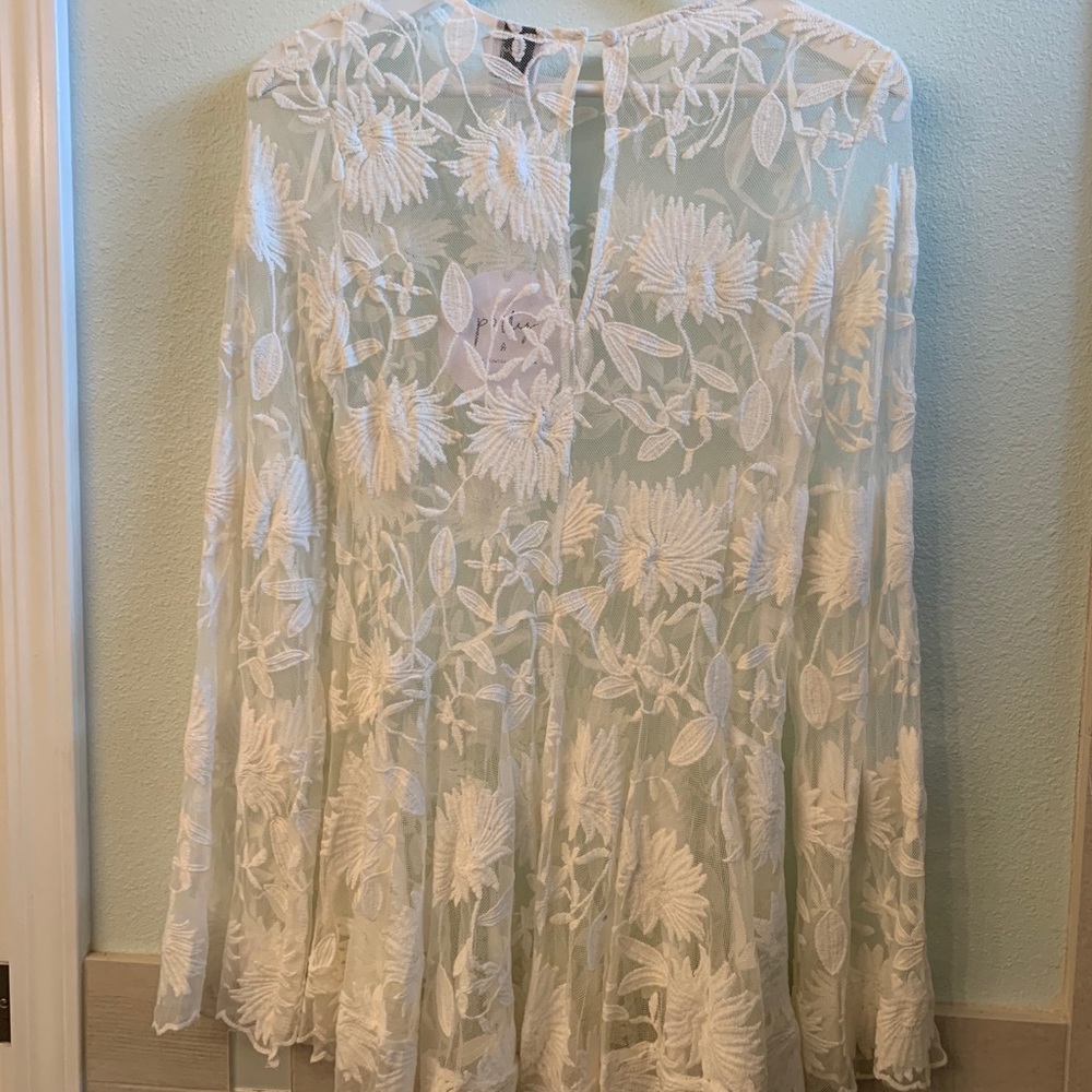 Princess Polly mesh dress